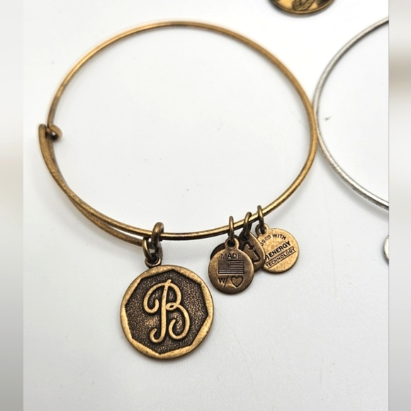 ๐๏ธ FREE ADD ON ALEX & ANI Bracelet Choice - Picture 3 of 7